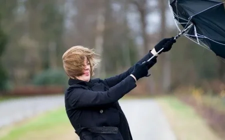 Storm Bram Prompts Met Éireann to Issue Status Orange Wind Warnings Across Eleven Counties