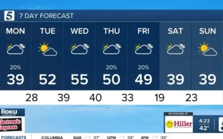 Cold and Cloudy Weather Forecast for December 8, 2025