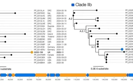 Inter-Clade Recombinant Mpox Virus Found in England in Traveler Returning from Asia