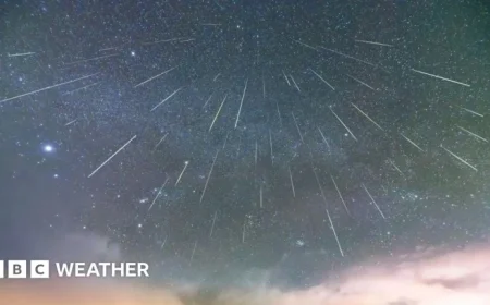 Discover Six Must-See Celestial Events Lighting Up the December Night Sky