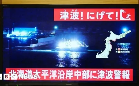 Japan issues tsunami warning as powerful earthquake hits northeast coast