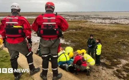 Heroic Rescue Saves Man After Fall at Farlington Marshes