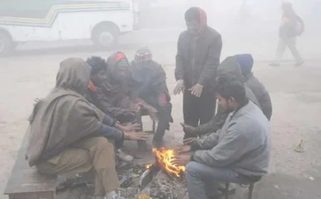 Freezing Temperatures Hit Punjab and Haryana; Rupnagar Records Season Low at 3.6°C