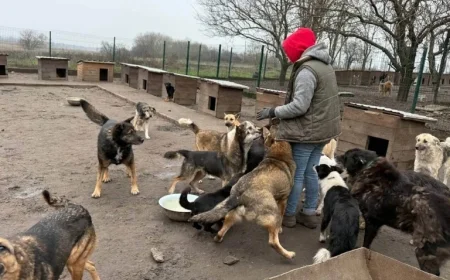 Volunteer Day Spotlight: Olga Saves Animal Lives in Ukraine