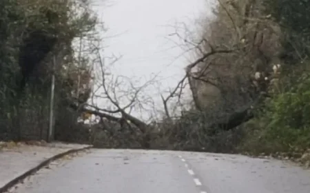 Storm Bram Leaves Thousands in Cork Without Power as it Sweeps Through Ireland