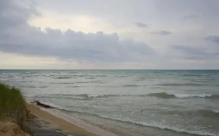 The Wolfe Tones Reveal Exciting Dublin Summer Shows for 2026