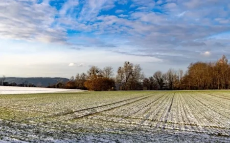 Boost Winter Farm Safety with ESB Networks 2025 Top 10 Tips for Farmers