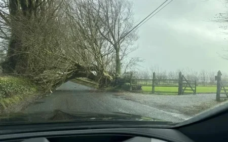 Storm Bram Hits Wexford: Power Outages, Fallen Trees, and Bridge Closures Affect Thousands