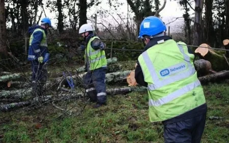 Storm Bram Leaves Sligo and Leitrim Residents Without Power