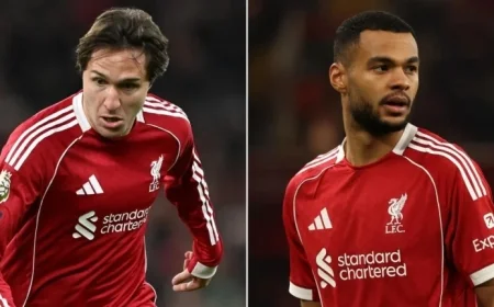 Latest Fitness Update for Federico Chiesa and Cody Gakpo