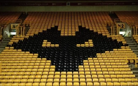 Wolves Player Faces Reemerging Challenges Despite Receiving Desired Outcome