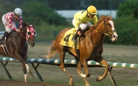 Hastings Racing Halted Without Crucial Slot Revenue Support