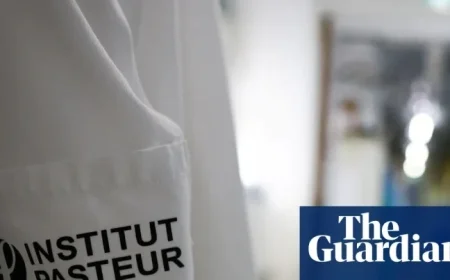 NHS prepares for unprecedented flu cases is the same strain spreading across continental Europe