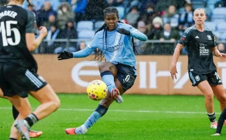 Chelsea Triumphs Over Brighton in a Comeback Victory