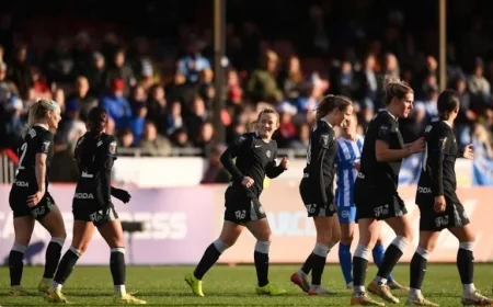 Chelsea Dominates Brighton with a 3-0 Victory Match Report and Highlights