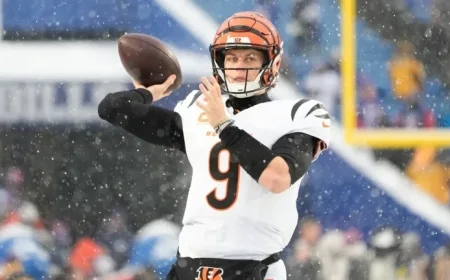 NFL Week 15 Clash Baltimore Ravens vs Cincinnati Bengals Picks Predictions and Odds