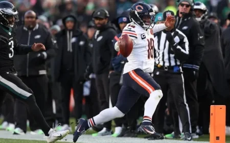 Bears vs Browns Weather Alert Potentially Hazardous for Outdoor Activities