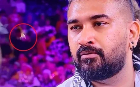 See the Instant Iconic Ally Pally Wasp Hit by a DART in Viral Moment