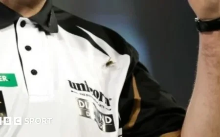 World Darts Championship 2026 Discover the Surprising Rise of Wasps at Alexandra Palace