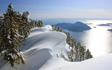 Unexpected CEC Draw Sees CRS Cut-Off Plummet to 2025 Low