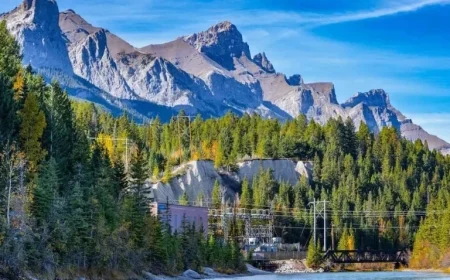 PNP Candidates Receive Express Entry Invitations in Back-to-Back Weekly Draws