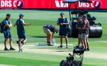 Follow Live Updates: Aussies Pursue Series Victory in Adelaide