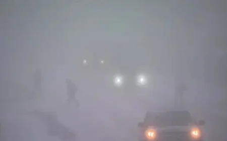 RCMP Issues Urgent Travel Warning for Alberta: Whiteout Conditions Pose Severe Risks on All Roads