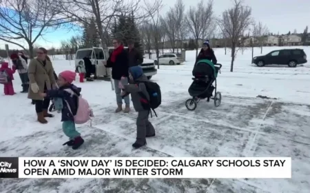 Discover How Calgary Schools Decide to Stay Open During Major Winter Storms