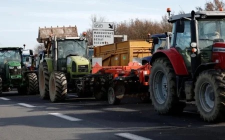 France Accelerates Vaccination Efforts Amid Ongoing Skin Disease Outbreak and Blockades
