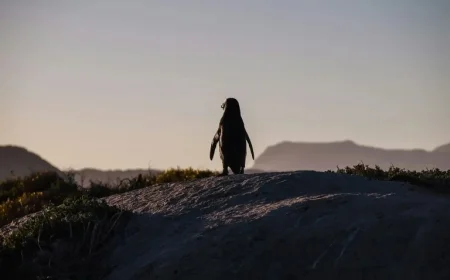 Ottawa Senators Clash with Pittsburgh Penguins in Thrilling Game 33 Hub Showdown