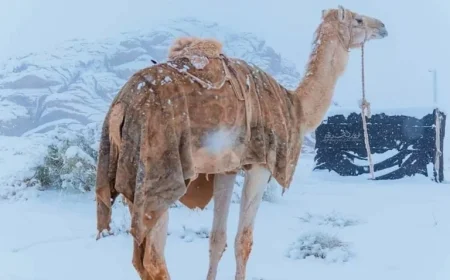 Snow Transforms Saudi Arabian Desert into a Stunning Winter Wonderland