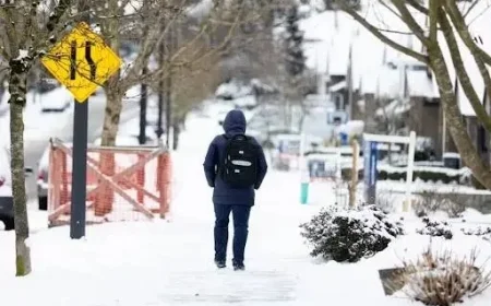 Surrey and White Rock Unlikely to See a White Christmas in Lower Mainland
