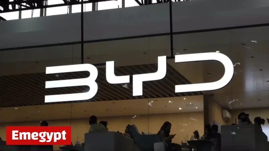 BYD Recalls 88,981 Qin Plus DM-i Sedans Over Battery Concerns