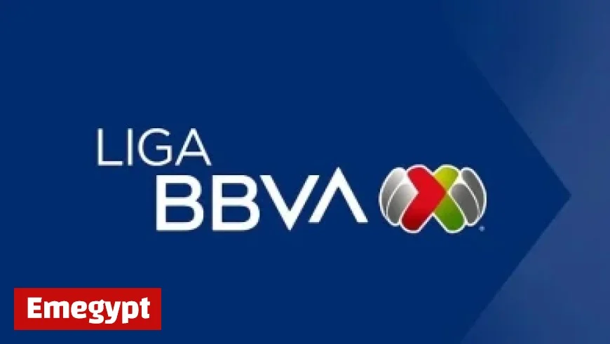 Unveiling the Surprising Truth About Bitcoin’s Actual Risk Level