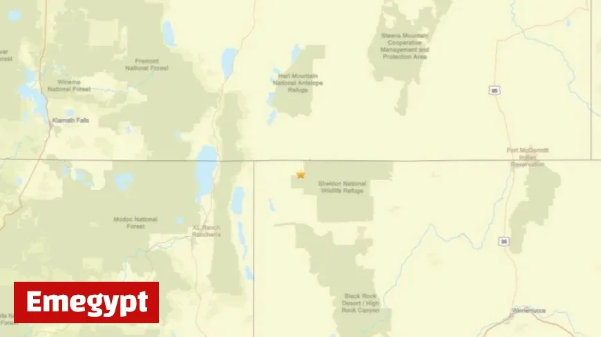 Earthquake Strikes Near Fort Bidwell, CA: 2.8 Magnitude Detected Nov. 29