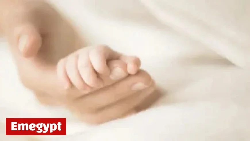 Elon Musk Responds to Anthropic AI’s Grokipedia Citation, Outlines Return Expectations