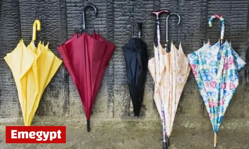 Mississippi Weather Forecast for Monday, December 1