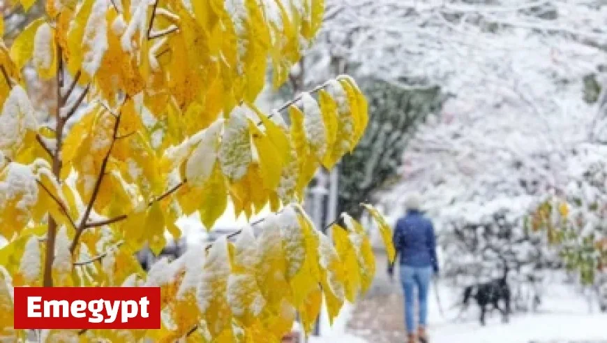 Live Update: Tonight’s Breezy Weather Turns to Rain by Tuesday Morning