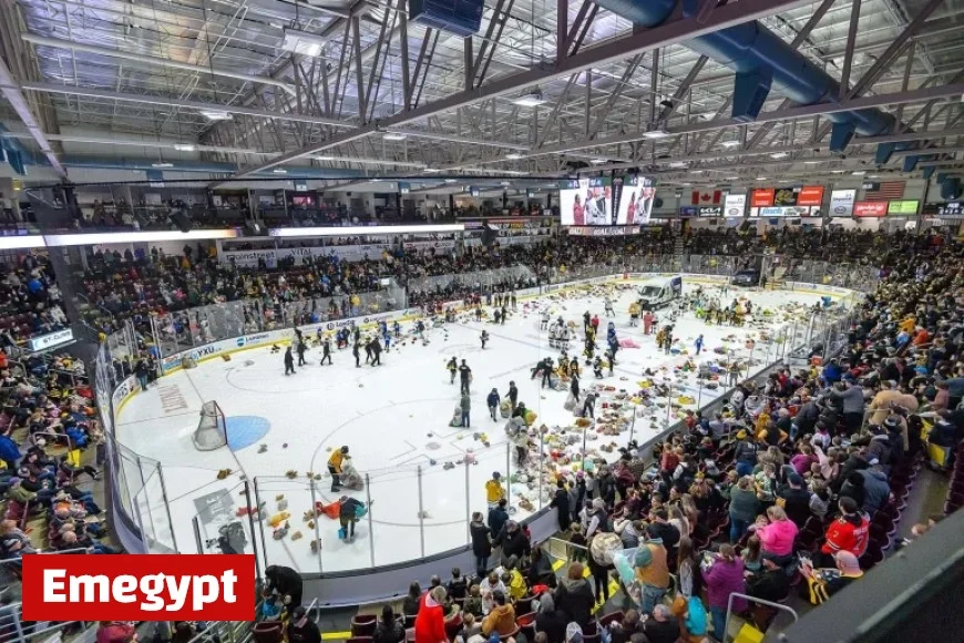 Sarnia Sting Ends Losing Streak with Exciting Teddy Bear Toss Victory