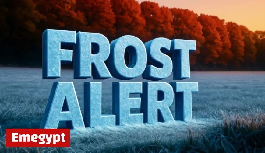 Frost Advisory and Sneaker Wave Risk in Eureka Until 9 AM
