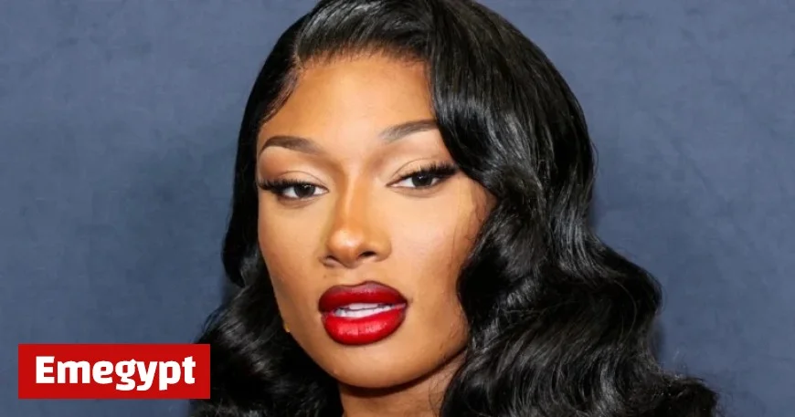 Megan Thee Stallion Triumphs in Defamation Suit Against Blogger