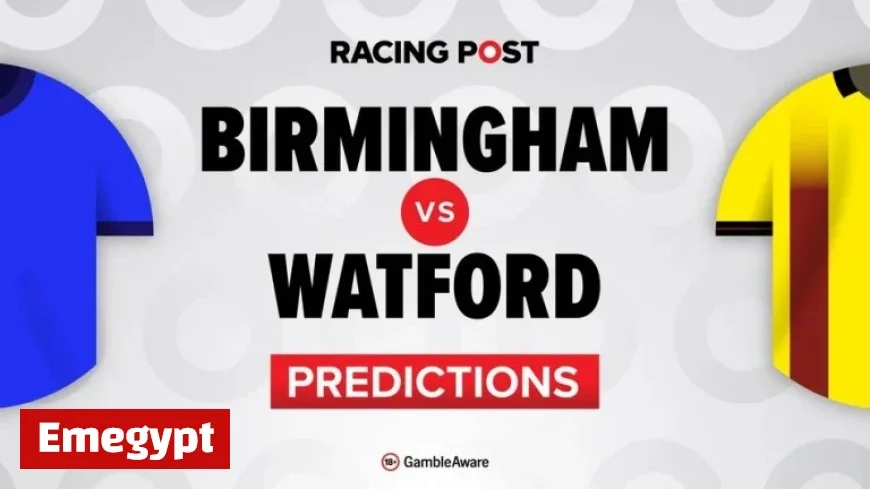 Birmingham vs Watford: Expert Predictions, Team News, Odds, Betting Tips, and Bet Builder Guide