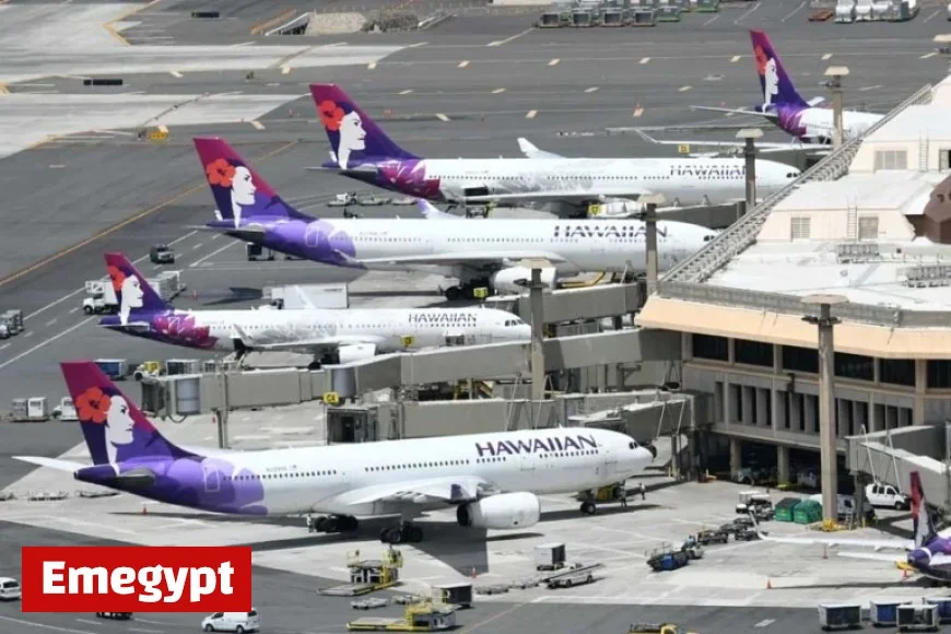 Hawaiian Airlines Launches Black Friday Sale on Japan-Hawaii Flights