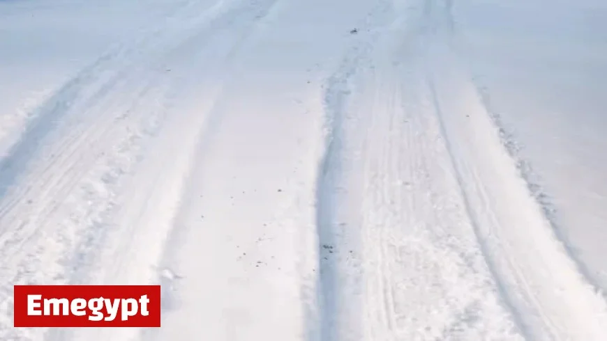 Winter Weather Alerts Issued for 15 Michigan Counties, Expect 3-12 Inches of Snow