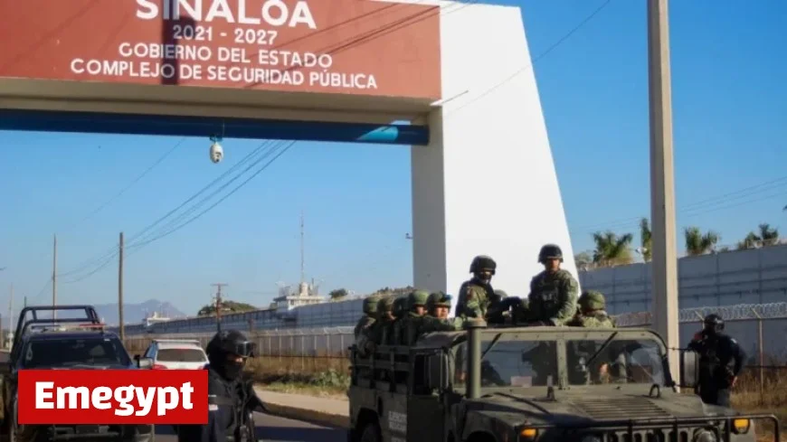 El Chapo’s Son Admits Guilt in U.S. Drug Case, Reaches Deal