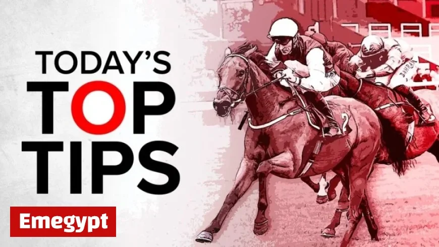 Expert Horse Racing Tips for Lingfield, Newcastle, and Southwell on Tuesday December 2