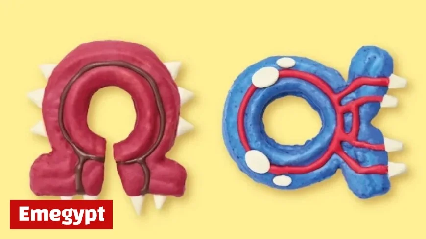 Pokémon Café’s Mega Dimension Menu: Are Beloved Legendary Pokémon Making a Comeback?