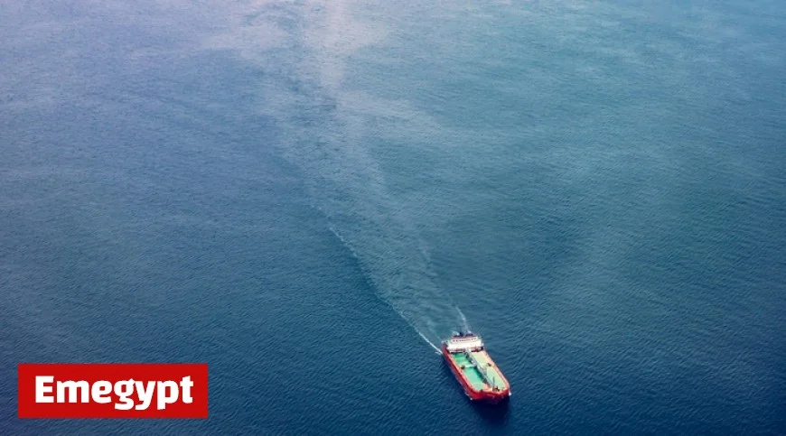 Challenges Faced by Australian Retailers in Entering the New Zealand Market