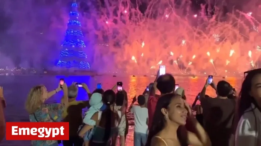 Brazil Still Holds Record: World’s Largest Christmas Tree Stands Here