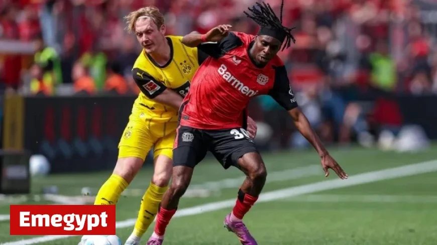 Watch Borussia Dortmund vs Bayer Leverkusen Live Today in Free Stream and on Free TV in DFB-Pokal Action